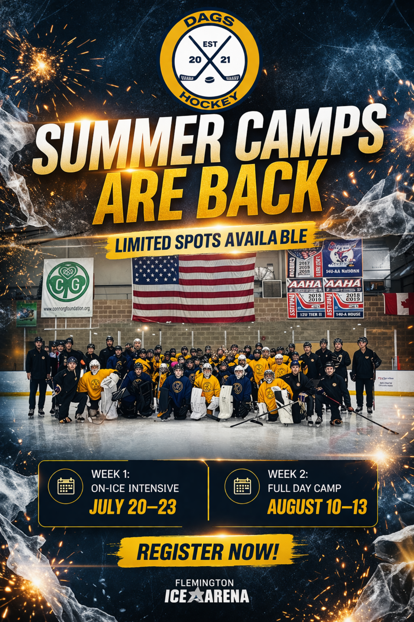DAGS Hockey summer camps promotion